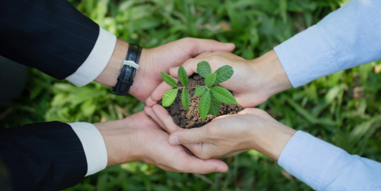Démarche ecoresponsable Asforest