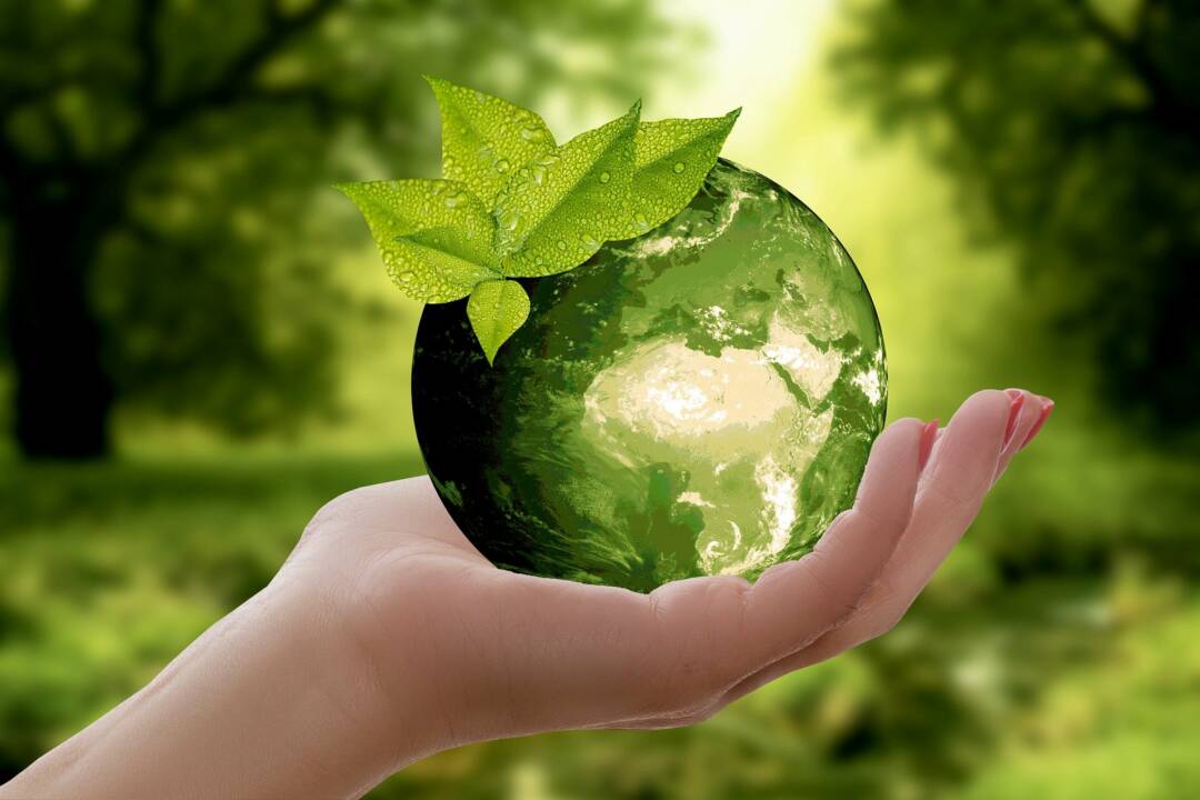 METTRE EN ŒUVRE LA DEMARCHE ECO RESPONSABLE DANS L’ENTREPRISE